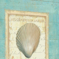 24" Stylish French Seashell Print on Gallery Wrap Canvas Wall Art