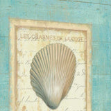 24" Stylish French Seashell Print on Gallery Wrap Canvas Wall Art