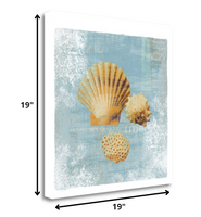 19" Blue Seashell Treasures Giclee Wrap Canvas Wall Art