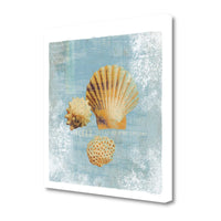 19" Blue Seashell Treasures Giclee Wrap Canvas Wall Art