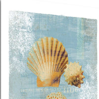 19" Blue Seashell Treasures Giclee Wrap Canvas Wall Art