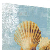 19" Blue Seashell Treasures Giclee Wrap Canvas Wall Art