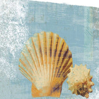 23" Blue Seashell Treasures Giclee Wrap Canvas Wall Art