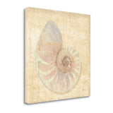 20" Soft Pastel Seashell Giclee Wrap Canvas Wall Art