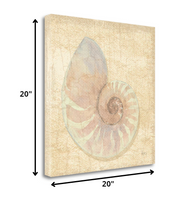 20" Soft Pastel Seashell Giclee Wrap Canvas Wall Art