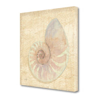 20" Soft Pastel Seashell Giclee Wrap Canvas Wall Art