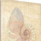 20" Soft Pastel Seashell Giclee Wrap Canvas Wall Art