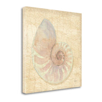 24" Soft Pastel Seashell Giclee Wrap Canvas Wall Art