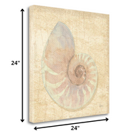 24" Soft Pastel Seashell Giclee Wrap Canvas Wall Art