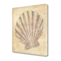 20" Bohemian Pastel Seashell Giclee Wrap Canvas Wall Art