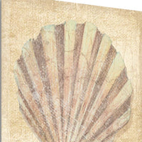 20" Bohemian Pastel Seashell Giclee Wrap Canvas Wall Art