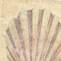 20" Bohemian Pastel Seashell Giclee Wrap Canvas Wall Art