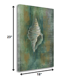 23" Blue and Green Seashell Giclee Wrap Canvas Wall Art