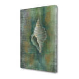 27" Blue and Green Seashell Giclee Wrap Canvas Wall Art