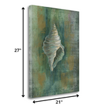 27" Blue and Green Seashell Giclee Wrap Canvas Wall Art