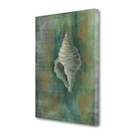 32" Blue and Green Seashell Giclee Wrap Canvas Wall Art