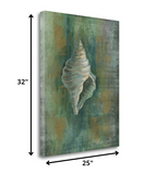 32" Blue and Green Seashell Giclee Wrap Canvas Wall Art