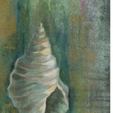 36" Blue and Green Seashell Giclee Wrap Canvas Wall Art