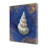 18" Rustic Deep Blue and Gold Shell Giclee Wrap Canvas Wall Art