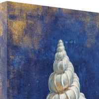 18" Rustic Deep Blue and Gold Shell Giclee Wrap Canvas Wall Art