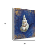 18" Rustic Deep Blue and Gold Shell Giclee Wrap Canvas Wall Art