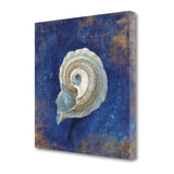 18" Rustic Deep Blue and Gold Conch Giclee Wrap Canvas Wall Art