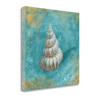 20" Majestic Seashell in the Bright Blue Sea Giclee Wrap Canvas Wall Art