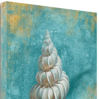 20" Majestic Seashell in the Bright Blue Sea Giclee Wrap Canvas Wall Art