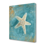 20" Majestic Starfish  in the Deep Blue Sea Giclee Wrap Canvas Wall Art