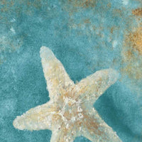 20" Majestic Starfish  in the Deep Blue Sea Giclee Wrap Canvas Wall Art