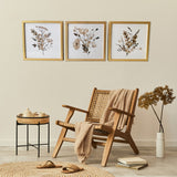 Set of Three Botanical Wildflowers Wall Art