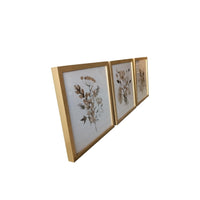 Set of Three Botanical Wildflowers Wall Art