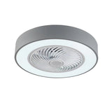 Black Modern Ceiling Ceiling Fan and Light