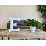 16" Distressed White Wash Wooden Initial Letter E Sculpture